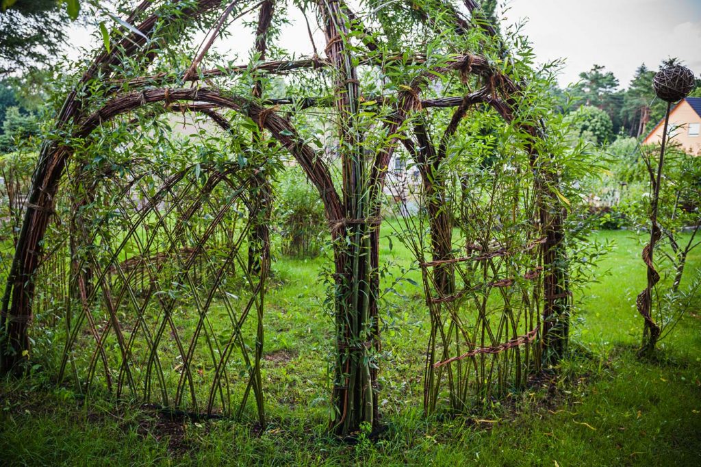 Roland Oppelt | portfolio